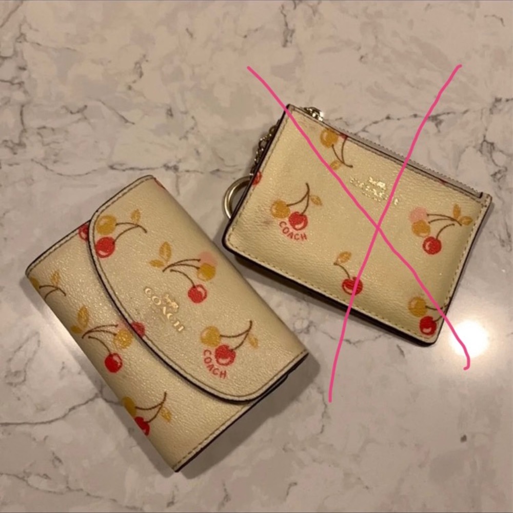 Coach Cherry Print Key Case